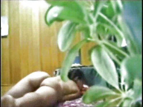 கவர்ச்சியான சகோதரி ச ...